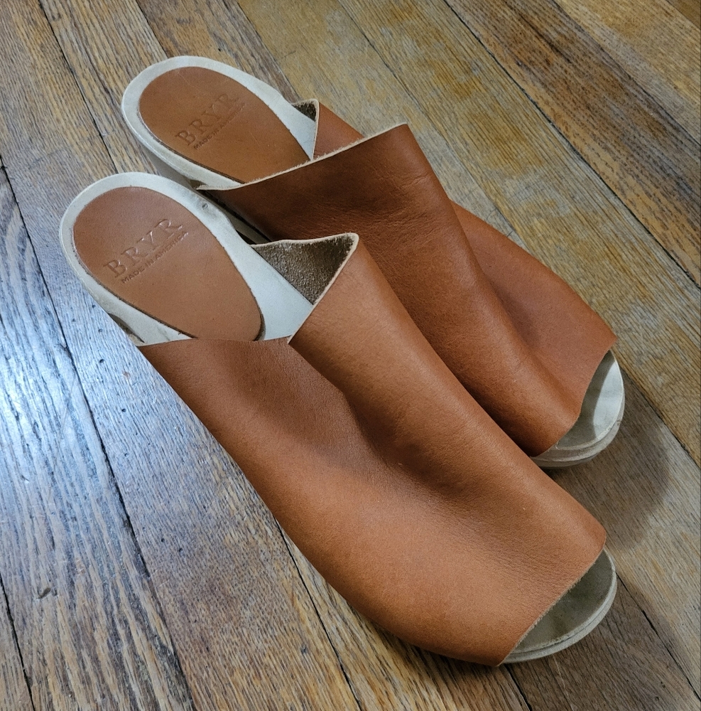 Bryr Clogs - image 1